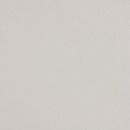 Dempsy Upholstered Power Lift Massage Recliner ChampagneChampagne