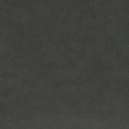 Dempsy Upholstered Power Lift Massage Recliner Charcoal GreyCharcoal Grey