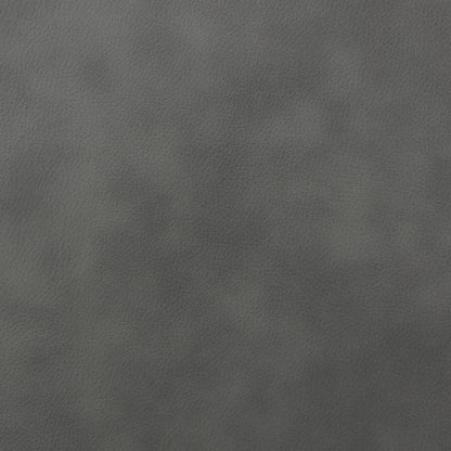 Salizar Upholstered Power Lift Recliner Chair GreyGrey