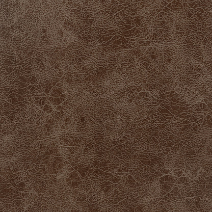 Mariska Upholstered Tufted Push Back Recliner BrownBrown