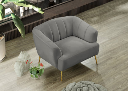 Liam Grey Velvet Chair C