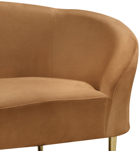 Maddox Saddle Velvet Chair C