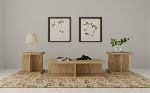 Tavin 3-piece Coffee and End Table Set Mango