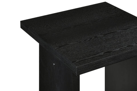 Hogan 2-piece Coffee and End Table Set Black