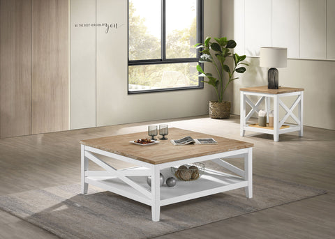 Haidera 2-piece Square Coffee and End Table Set White