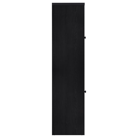 Giselle 67-inch 2-door Media Tower Storage Cabinet Black