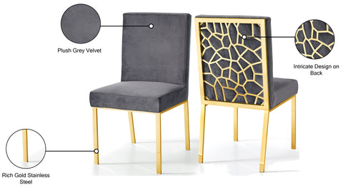 Quinn Grey Velvet Upholstered Dining Chair, 2-Piece