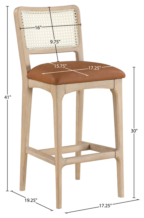 Harlow Cognac Cane Back And Vegan Leather Upholstered Bar Stool, 2-Piece