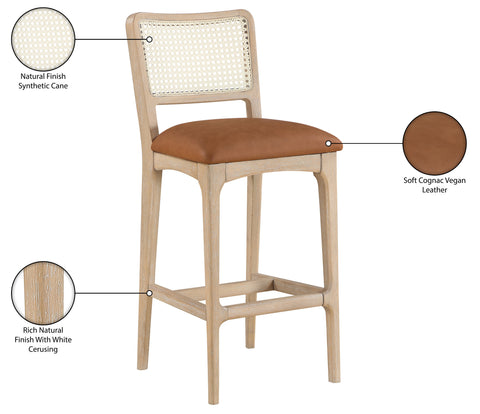 Harlow Cognac Cane Back And Vegan Leather Upholstered Bar Stool, 2-Piece