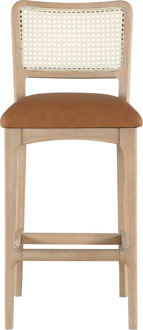 Harlow Cognac Cane Back And Vegan Leather Upholstered Bar Stool, 2-Piece