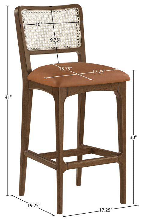 Harlow Cognac Cane Back And Vegan Leather Upholstered Bar Stool, 2-Piece (Style 2)