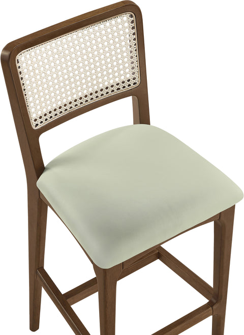 Harlow Mint Cane Back And Vegan Leather Upholstered Bar Stool, 2-Piece