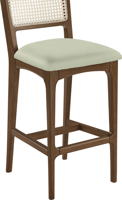 Harlow Mint Cane Back And Vegan Leather Upholstered Bar Stool, 2-Piece