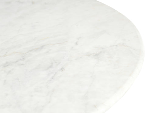 Nova White Genuine Marble And Mango Wood Coffee Table, 1 Piece