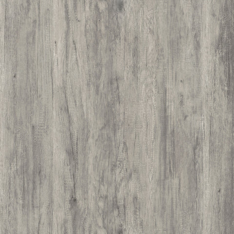 Bryce 63-inch 4-shelf Glass Panel Bookshelf Grey DriftwoodGrey Driftwood