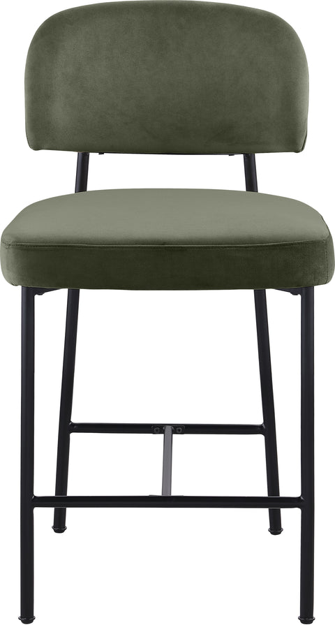 Arden Green Performance Fabric Upholstered Counter Stool, 2-Piece