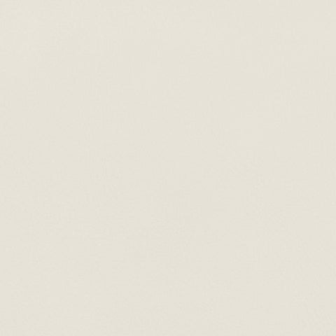 Linden Cream Cane And Vegan Leather Upholstered Counter Stool, 2-Piece