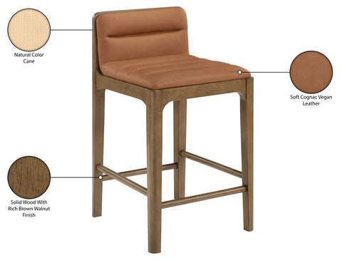 Linden Cognac Cane And Vegan Leather Upholstered Counter Stool, 2-Piece (Style 2)