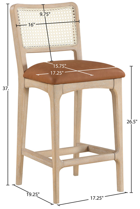 Harlow Cognac Cane Back And Vegan Leather Upholstered Seat Counter Stool, 2-Piece