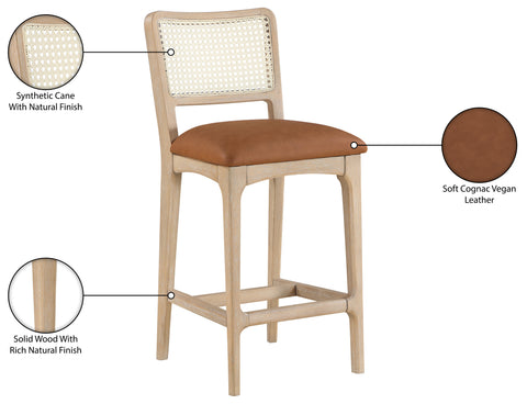 Harlow Cognac Cane Back And Vegan Leather Upholstered Seat Counter Stool, 2-Piece