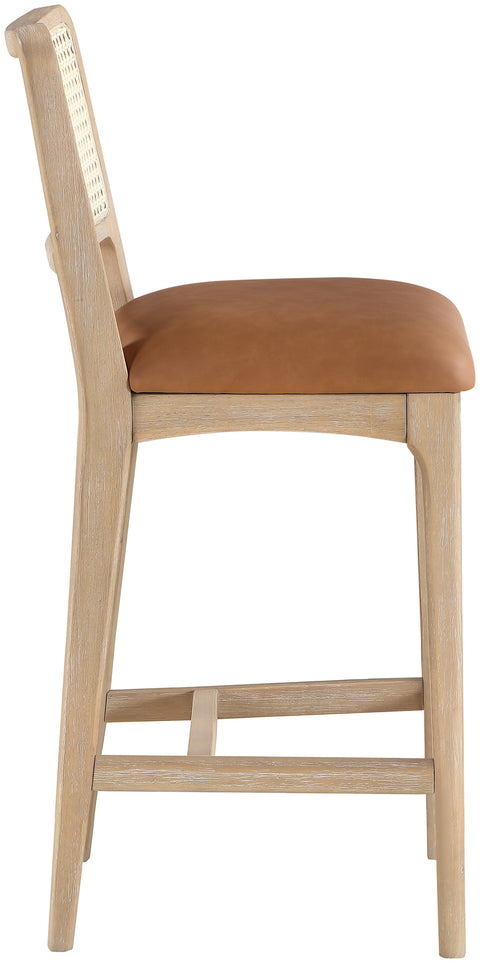 Harlow Cognac Cane Back And Vegan Leather Upholstered Seat Counter Stool, 2-Piece