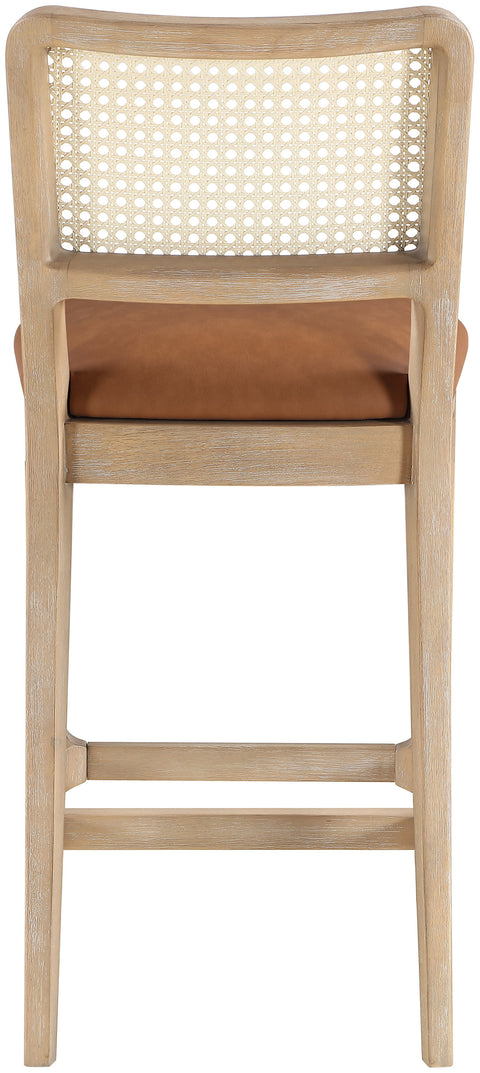 Harlow Cognac Cane Back And Vegan Leather Upholstered Seat Counter Stool, 2-Piece