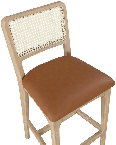 Harlow Cognac Cane Back And Vegan Leather Upholstered Seat Counter Stool, 2-Piece