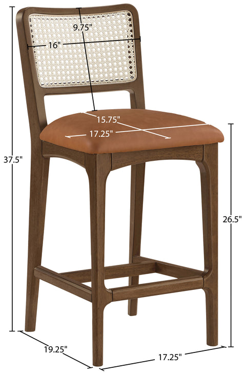 Harlow Cognac Cane Back And Vegan Leather Upholstered Seat Counter Stool, 2-Piece (Style 2)
