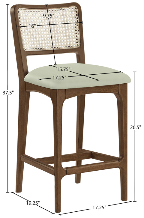 Harlow Mint Cane Back And Vegan Leather Upholstered Seat Counter Stool, 2-Piece