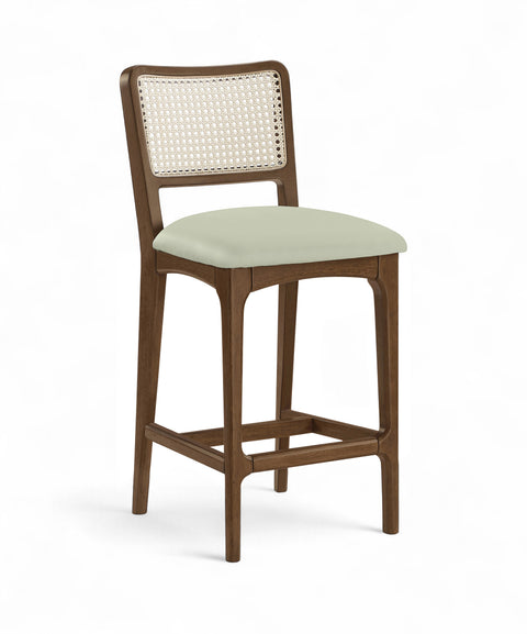 Harlow Mint Cane Back And Vegan Leather Upholstered Seat Counter Stool, 2-Piece