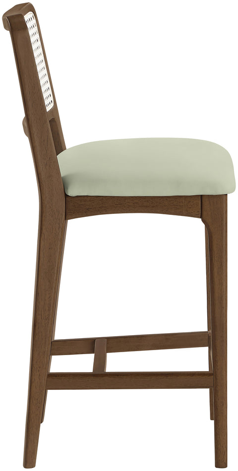 Harlow Mint Cane Back And Vegan Leather Upholstered Seat Counter Stool, 2-Piece