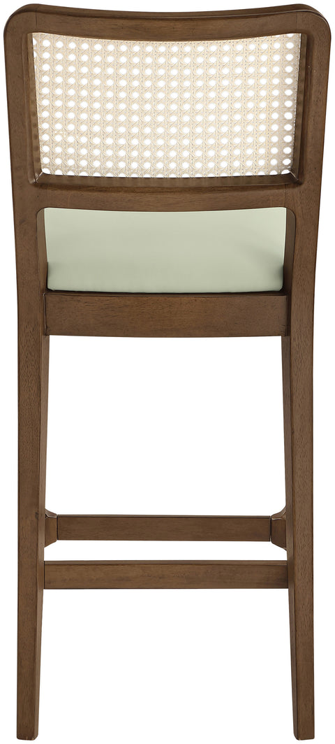 Harlow Mint Cane Back And Vegan Leather Upholstered Seat Counter Stool, 2-Piece