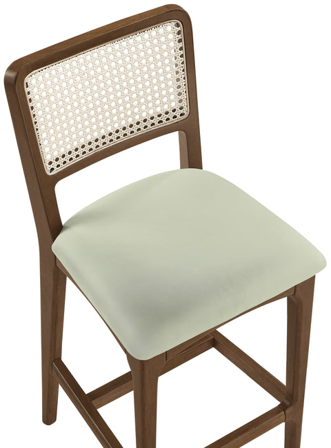 Harlow Mint Cane Back And Vegan Leather Upholstered Seat Counter Stool, 2-Piece