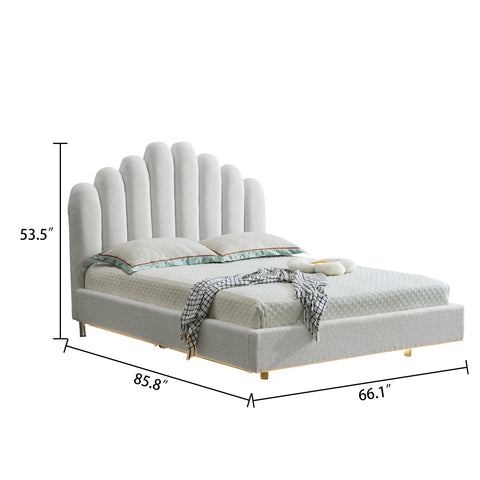 Leonardo BED