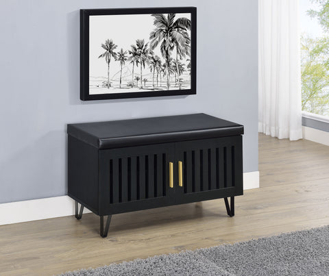 Eulaina 2-door Padded Entryway Shoe Storage Bench Black