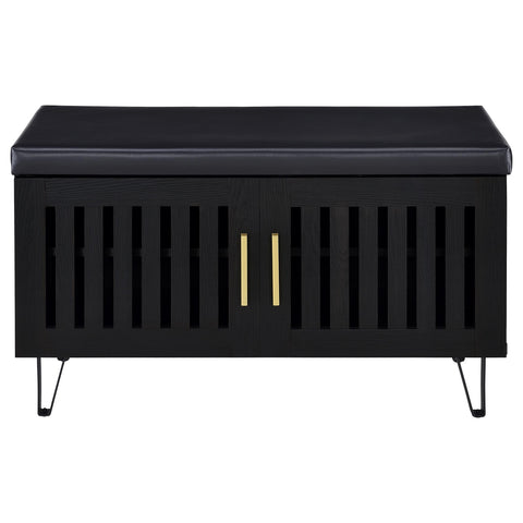 Eulaina 2-door Padded Entryway Shoe Storage Bench Black