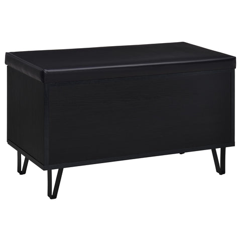 Eulaina 2-door Padded Entryway Shoe Storage Bench Black