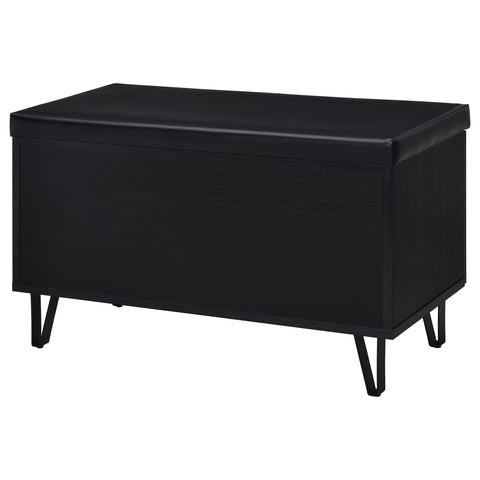 Eulaina 2-door Padded Entryway Shoe Storage Bench Black