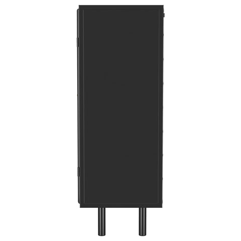 Houston 2-door Accent Storage Cabinet with Shelving BlackBlack