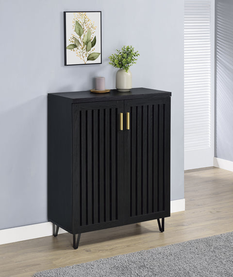 Eulaina 2-door Entryway Shoe Storage Cabinets Black