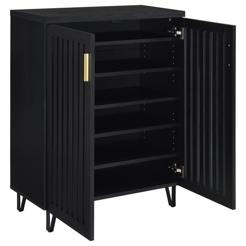 Eulaina 2-door Entryway Shoe Storage Cabinets Black