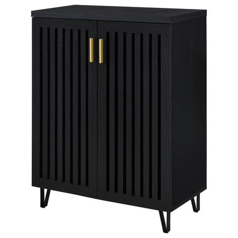 Eulaina 2-door Entryway Shoe Storage Cabinets Black