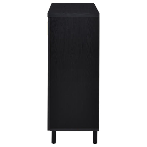 Eulaina 2-door Entryway Shoe Storage Cabinets Black