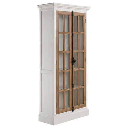 Tall Accent Cabinet