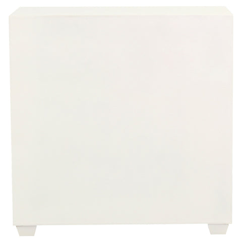 Nailan 2-door Storage Accent Cabinet White and GoldWhite