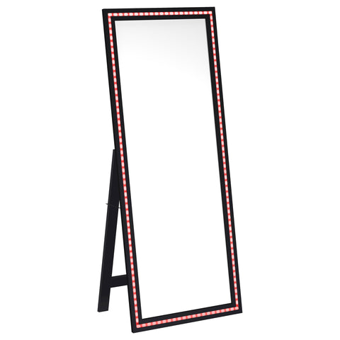 Madelyn 28 x 67 Inch Tempered LED Standing Mirror BlackBlack