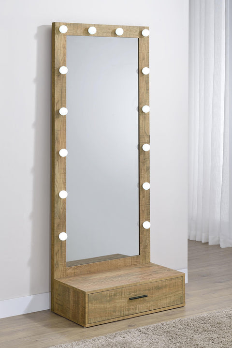 Baney 1-drawer Lighted Full-Length Floor Mirror Mango