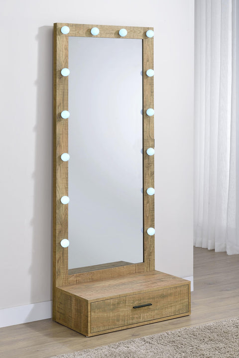 Baney 1-drawer Lighted Full-Length Floor Mirror Mango