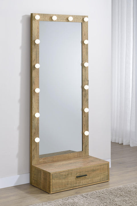 Baney 1-drawer Lighted Full-Length Floor Mirror Mango