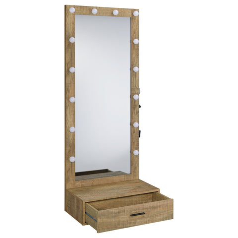 Baney 1-drawer Lighted Full-Length Floor Mirror Mango